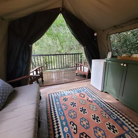 Forest Glamping Wilderness Exterior photo