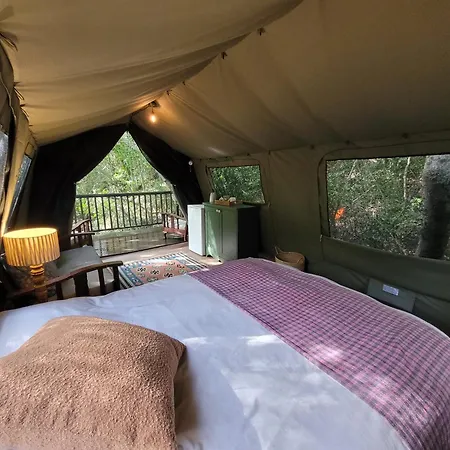 Forest Glamping Wilderness Exterior photo