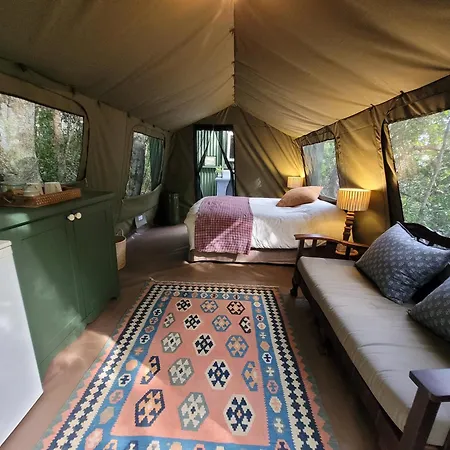 Forest Glamping Wilderness Exterior photo