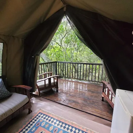 Forest Glamping Wilderness Exterior photo