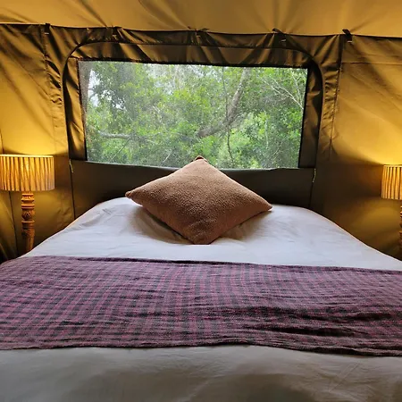 Forest Glamping Wilderness Exterior photo