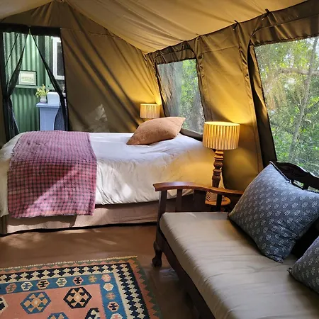 Forest Glamping Wilderness Exterior photo