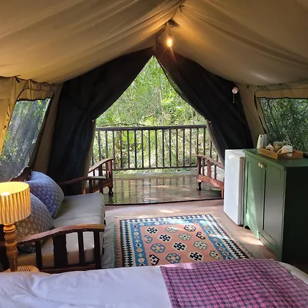 Forest Glamping Wilderness Exterior photo
