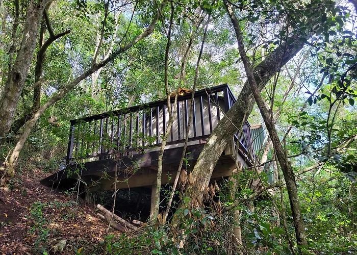Forest Glamping