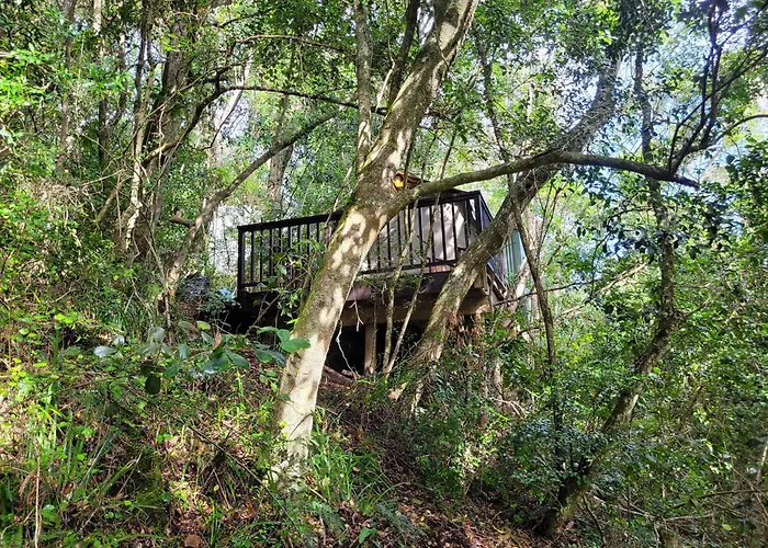 Forest Glamping