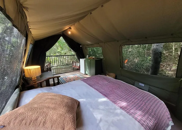 Forest Glamping