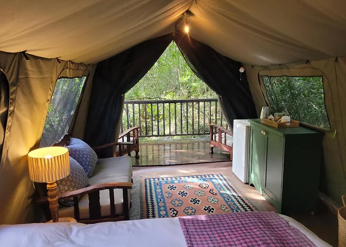 Forest Glamping