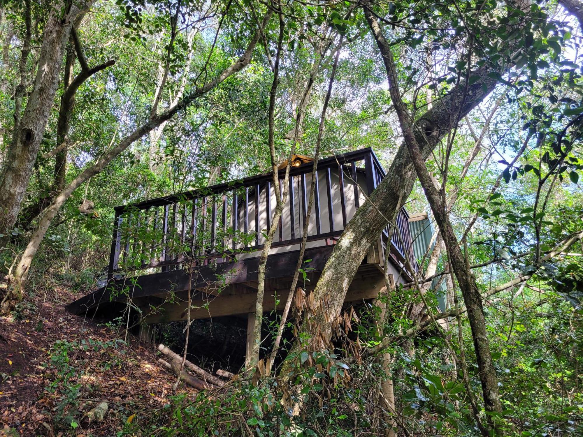 Forest Glamping Luxury tent Wilderness