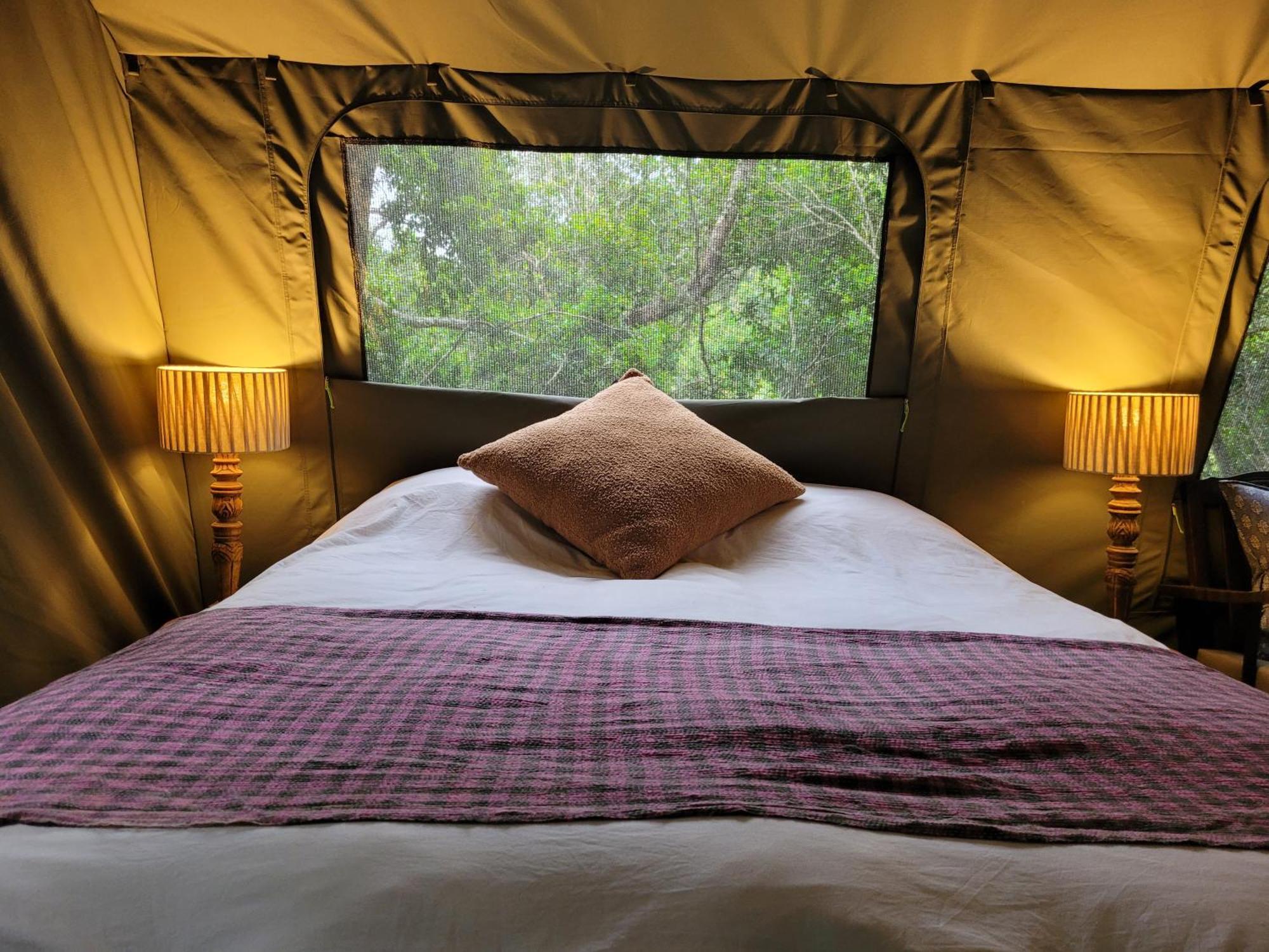 Forest Glamping Wilderness