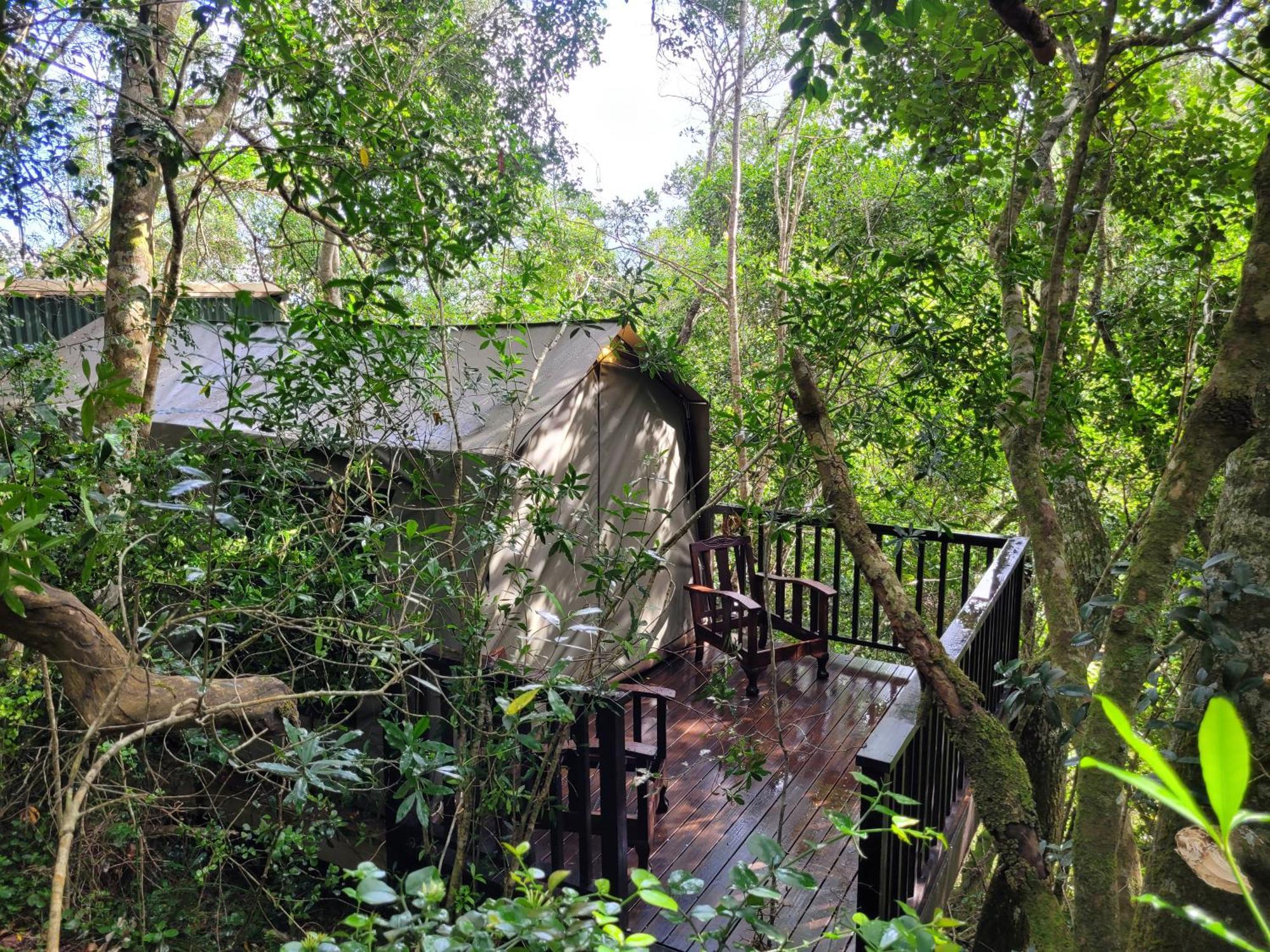 Forest Glamping *