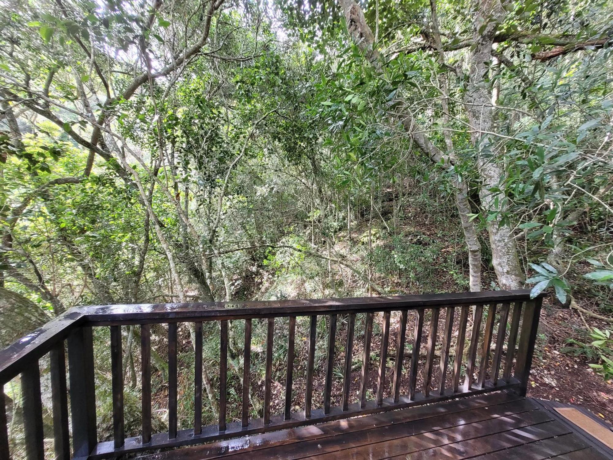 Forest Glamping * Wilderness