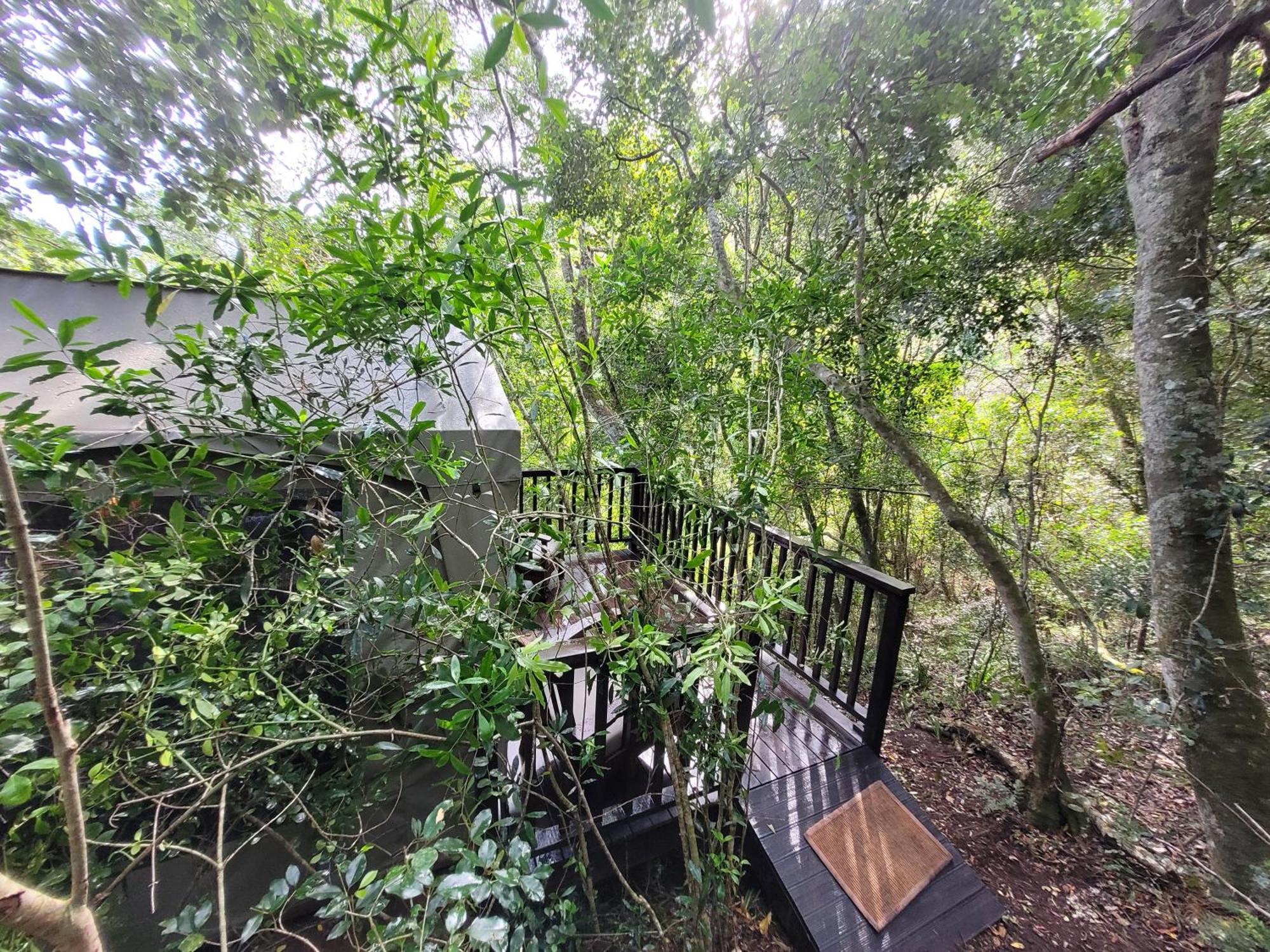Forest Glamping Luxury tent Wilderness