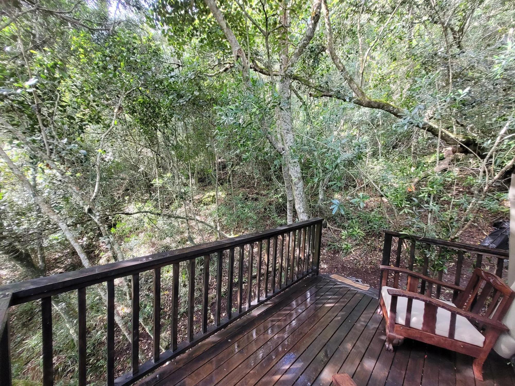 Luxury tent Forest Glamping *